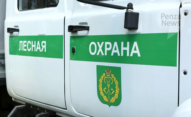 В Никольском лесничестве ликвидировали лесной пожар на 0,05 га