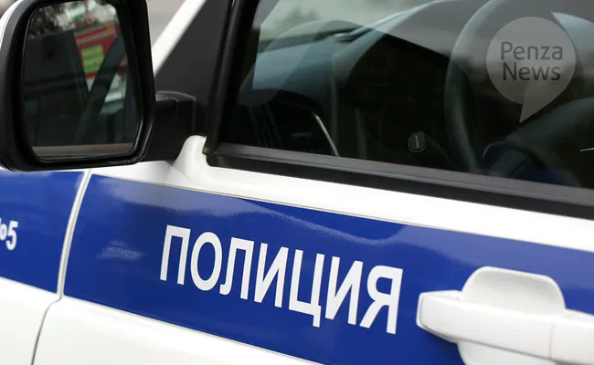 Полицейские задержали в Москве пензенца, скрывавшегося от суда