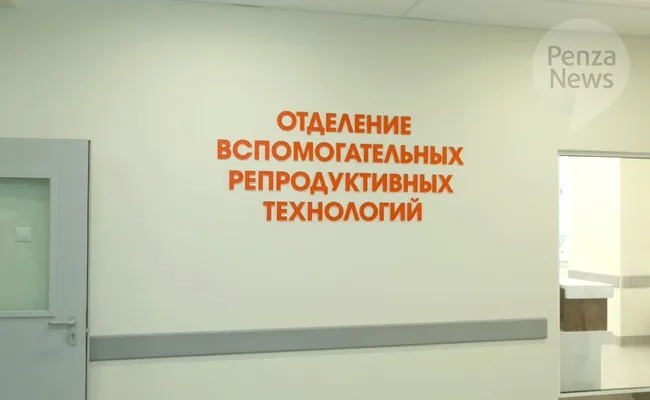 В Пензенской области за 9 месяцев родились 164 ребёнка после ЭКО