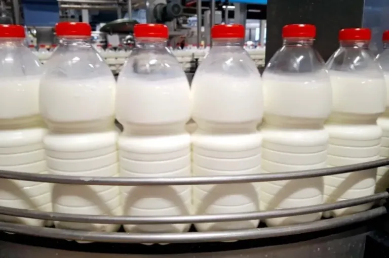 Роспотребнадзор: 69 проб молочной продукции в Пензенской области не соответствуют нормам