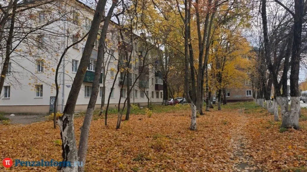 В Пензенской области 20 октября похолодает до минус 6