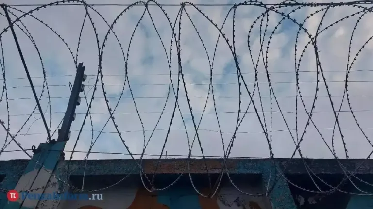 В Пензенской области задержали 11 скрывавшихся от наказания