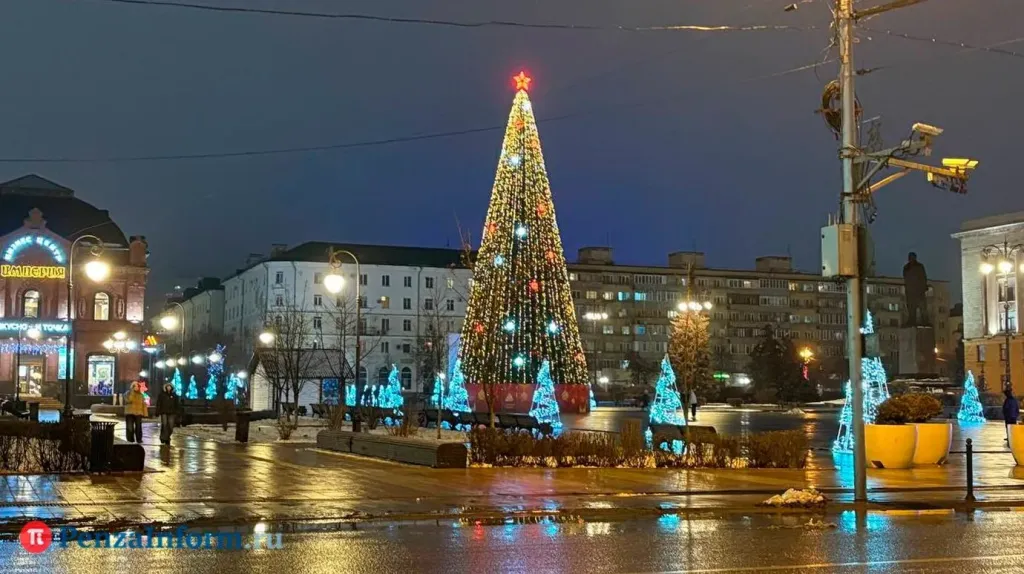 В Пензе турналог направят на украшения к Новому году