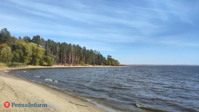 В Сурское водохранилище выпустят 423 896 толстолобиков