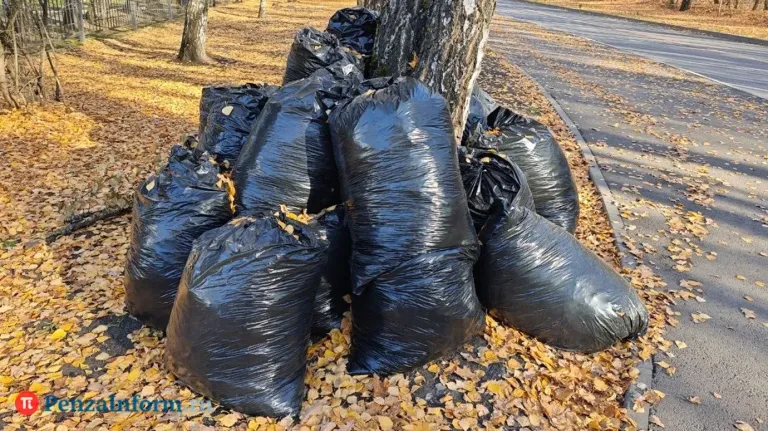 В Пензе четверг и пятницу объявили санитарными
