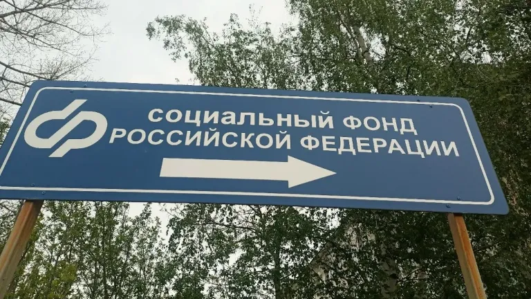 Более 2,8 тысячи жителей Пензенской области получили пенсии автоматически