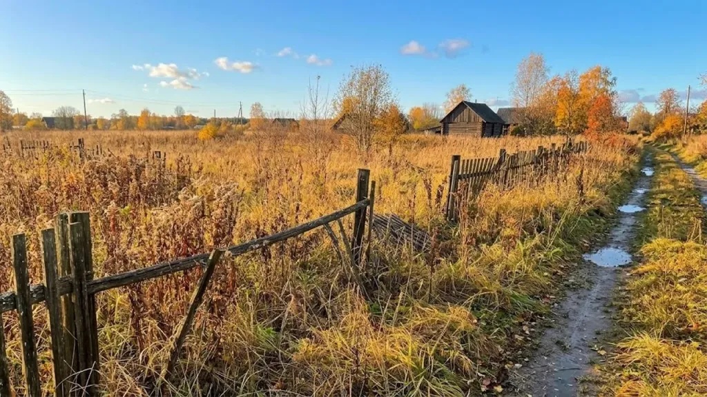 Пензенцам объяснили, как избежать штрафа за заброшенный участок