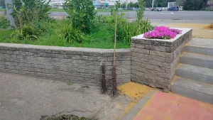 В Пензе обсудят вывоз мусора и установят камеры на въездах